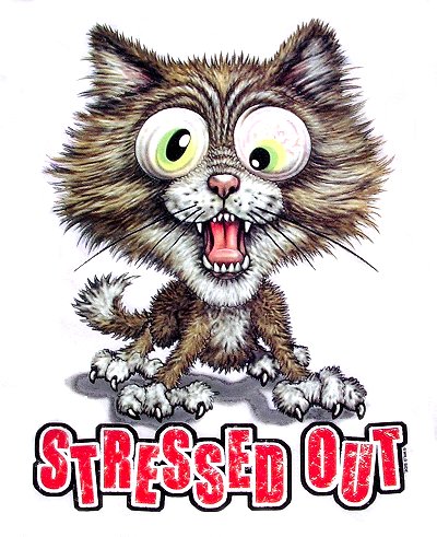 STRESSED OUT CAT T-SHIRT IN COLORS 727 | eBay